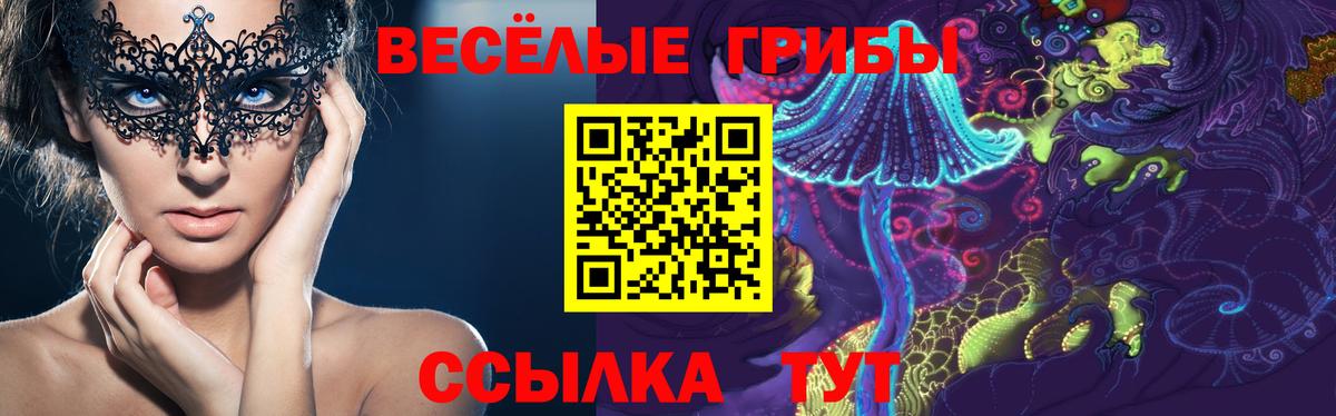 Чусовой  Галлюциногенные грибы ЛСД  Вход с VPN 